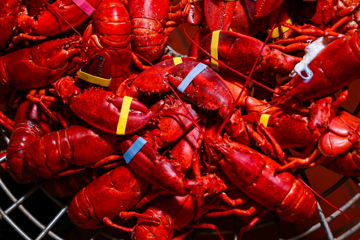 Class Reunions, Holiday Parties, and Company Clambakes in Cambridge