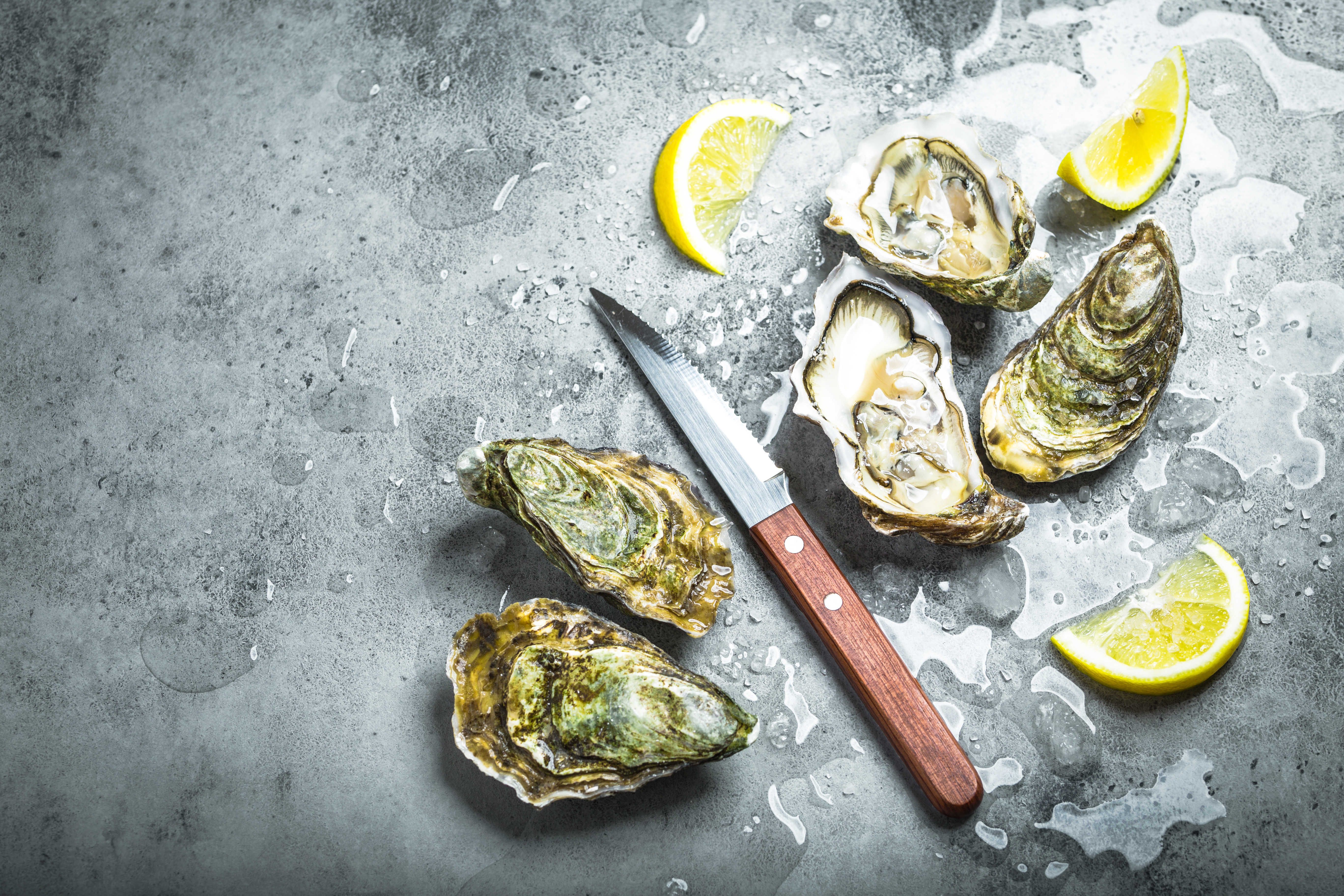 How To Enjoy The Raw Bar