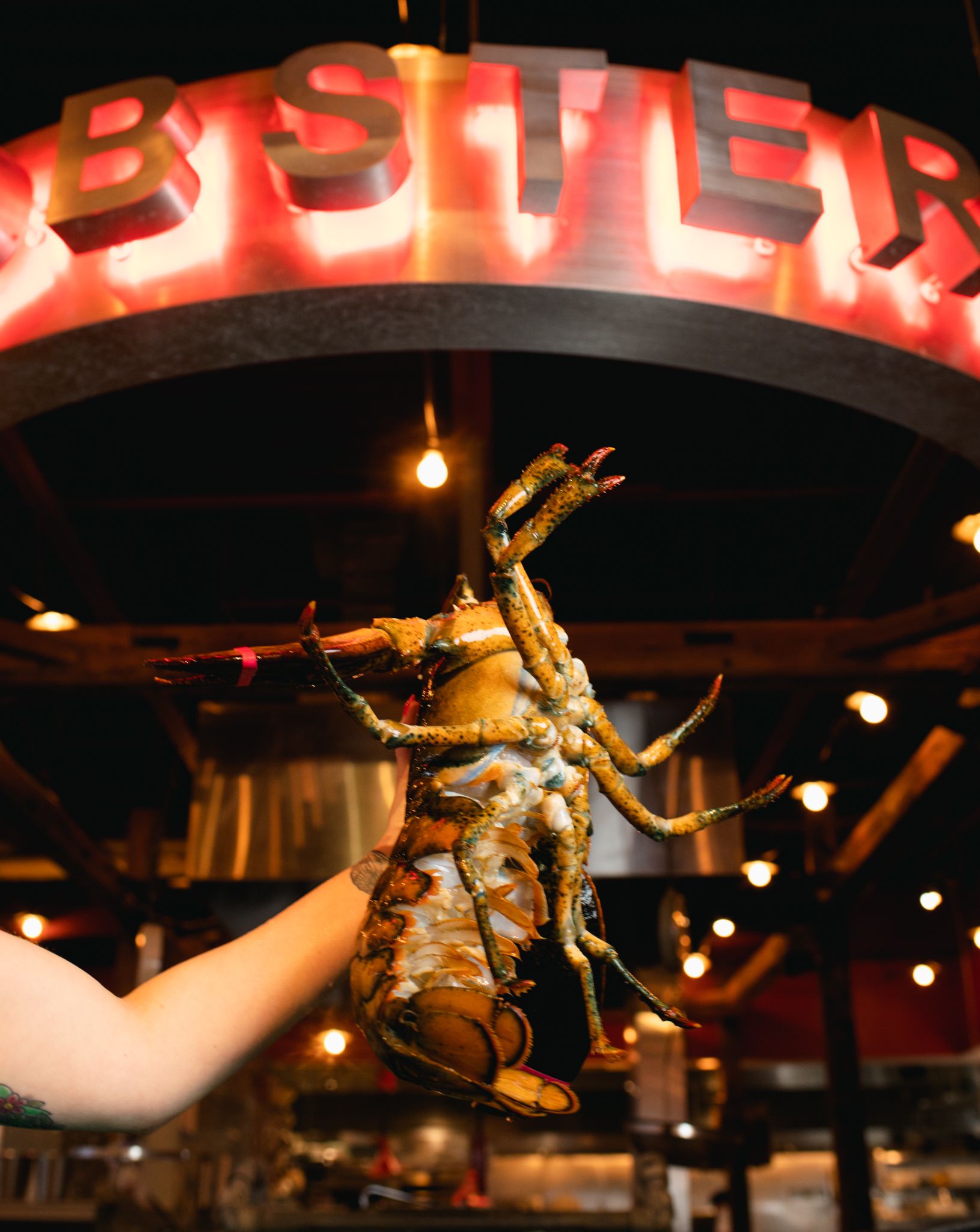 Creating a Memorable Dining Experience: Tips from Our Restaurant