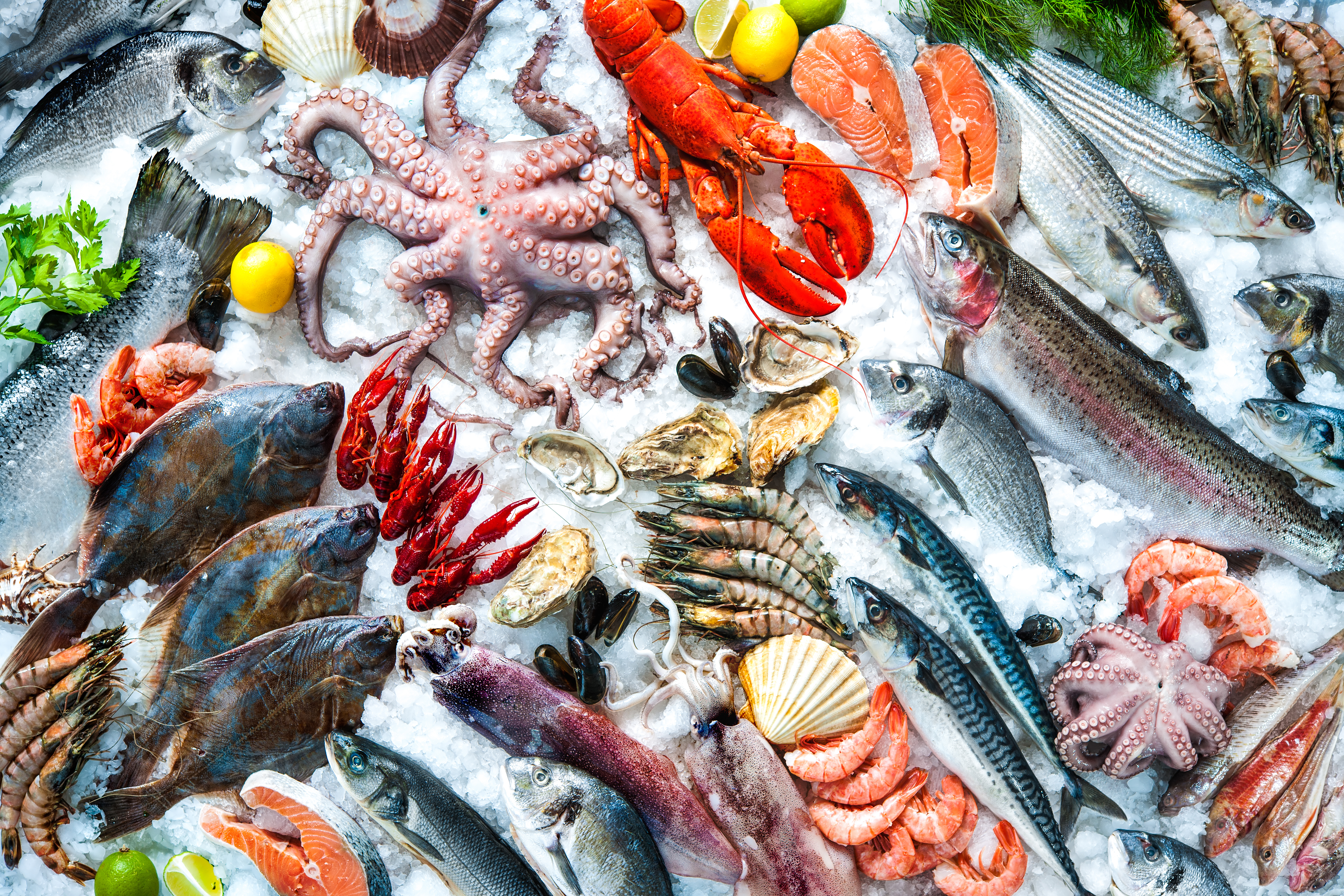 Why Seafood is Best in The Summer