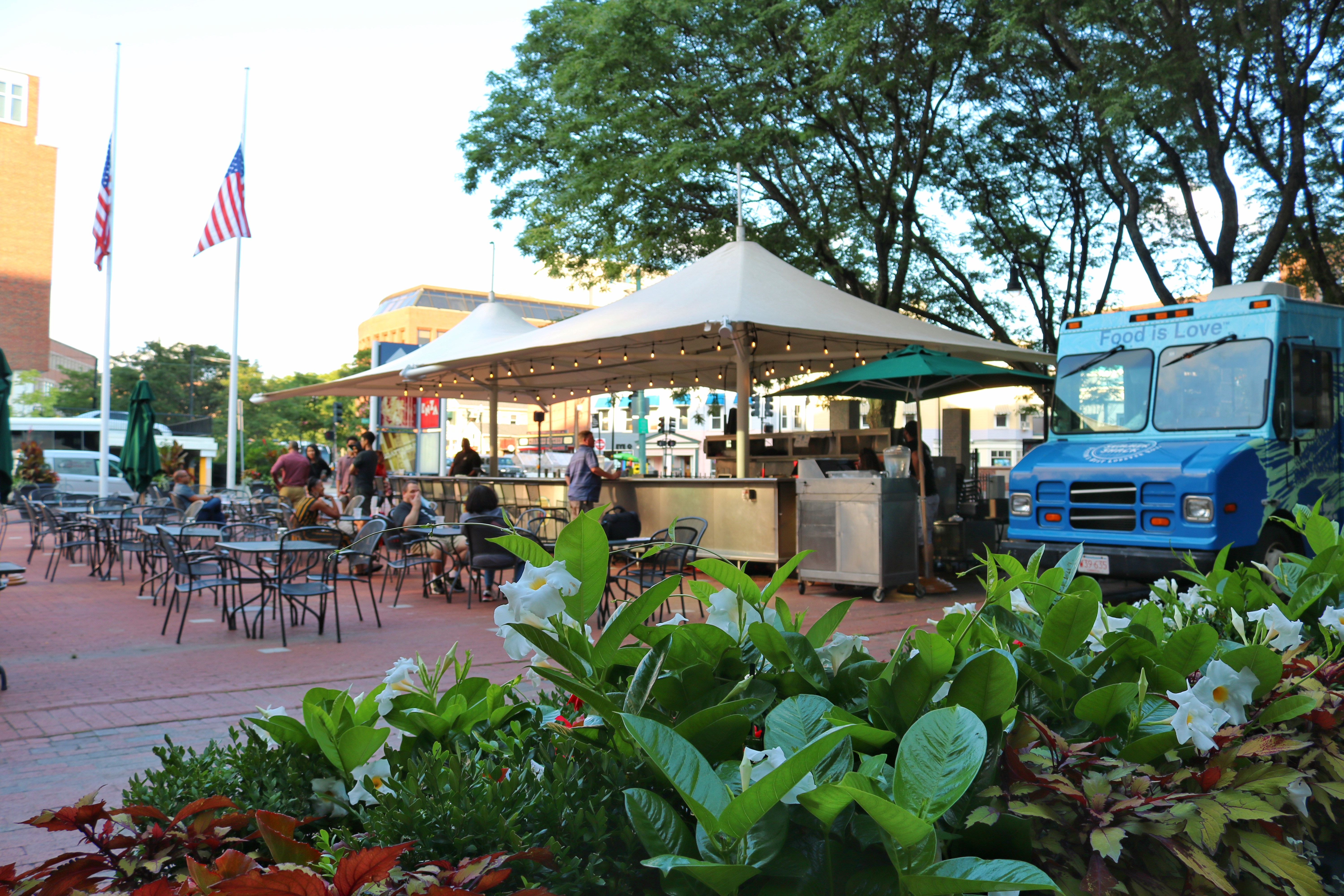 What is the Harvard Square Movie Night?