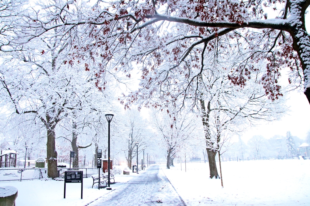 20% Off Snow Day Specials in Fenway | Loretta's Last Call